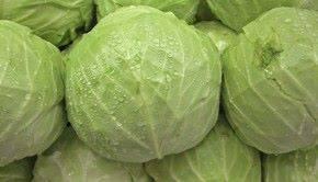 Cabbage