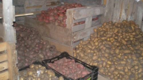 Хранение картофеля на балконе и в погребе
