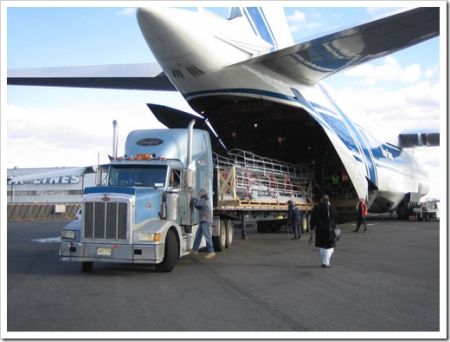 Правила перевозки грузов воздушным транспортом