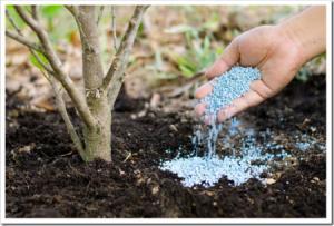 минеральные удобрения для грунта