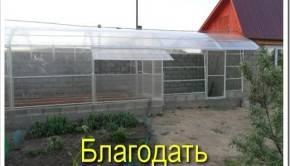 Принципы создания теплицы