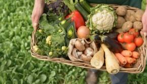 Преимущества фермерских продуктов