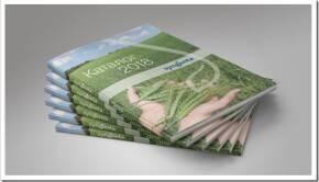 Агрохимикаты от Syngenta: особенности, преимущества и гарантия качества